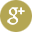 Google+